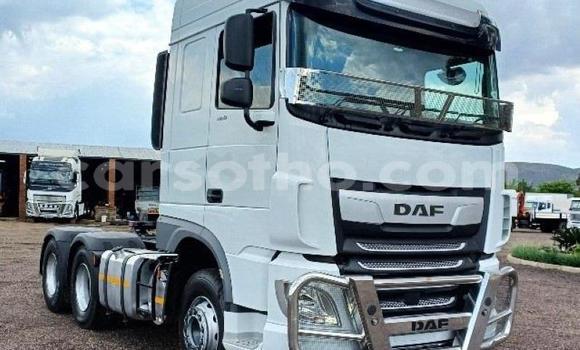 Acheter Occasion Utilitaire DAF CF Blanc à Maseru, Maseru