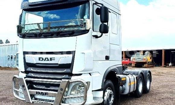 اشتري مستعمل DAF CF White شاحنة في Maseru في Maseru اشتري مستعمل DAF CF White شاحنة في Maseru في Maseru