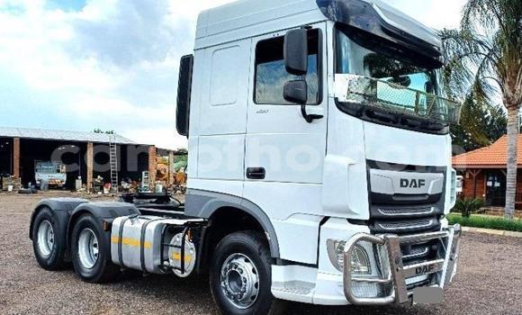 اشتري مستعمل DAF CF White شاحنة في Maseru في Maseru اشتري مستعمل DAF CF White شاحنة في Maseru في Maseru
