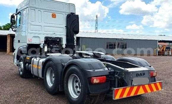 اشتري مستعمل DAF CF White شاحنة في Maseru في Maseru اشتري مستعمل DAF CF White شاحنة في Maseru في Maseru