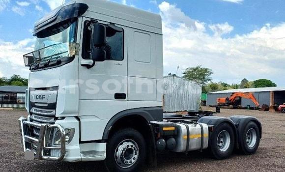 اشتري مستعمل DAF CF White شاحنة في Maseru في Maseru اشتري مستعمل DAF CF White شاحنة في Maseru في Maseru