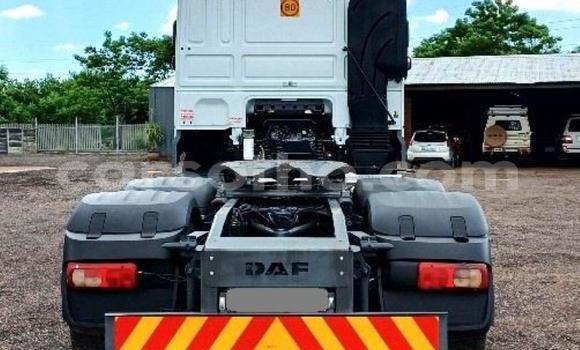 اشتري مستعمل DAF CF White شاحنة في Maseru في Maseru اشتري مستعمل DAF CF White شاحنة في Maseru في Maseru