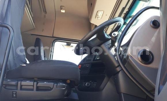 اشتري مستعمل DAF CF White شاحنة في Maseru في Maseru اشتري مستعمل DAF CF White شاحنة في Maseru في Maseru