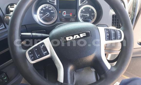 اشتري مستعمل DAF CF White شاحنة في Maseru في Maseru اشتري مستعمل DAF CF White شاحنة في Maseru في Maseru