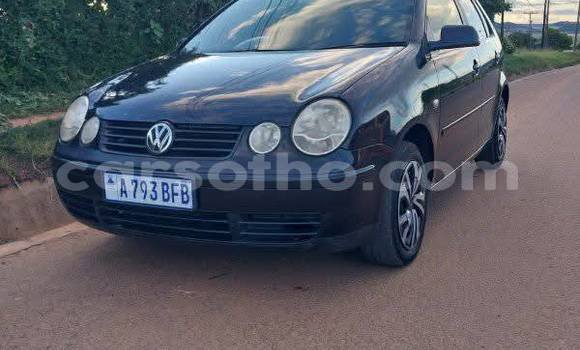 Acheter Occasion Voiture Volkswagen Polo Noir à Quthing, Butha-Buthe