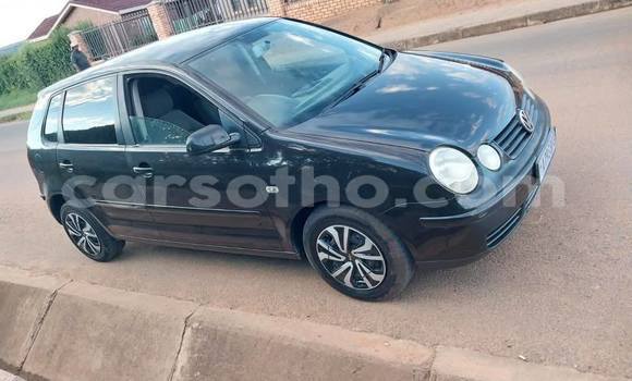 Sayi Na hannu Volkswagen Polo Black Mota in Quthing a Butha-Buthe Sayi Na hannu Volkswagen Polo Black Mota in Quthing a Butha-Buthe