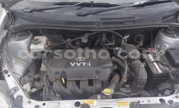 Sayi Na hannu Toyota Vitz Other Mota in Maseru a Maseru Sayi Na hannu Toyota Vitz Other Mota in Maseru a Maseru