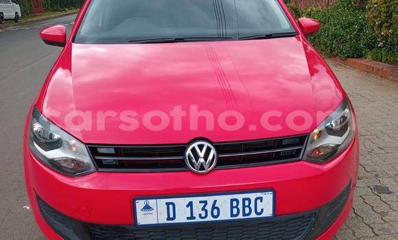 Buy Used Volkswagen Polo Red Car in Maputsoe in Leribe