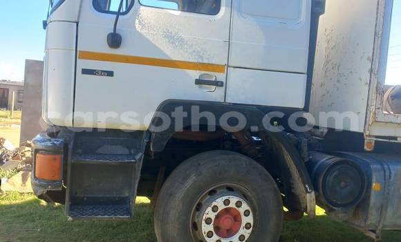 Buy Used Man Silent White Truck in Maseru in Maseru Buy Used Man Silent White Truck in Maseru in Maseru