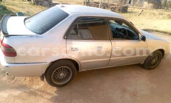 اشتري مستعمل Toyota Sai Other سيارة في Maseru في Maseru اشتري مستعمل Toyota Sai Other سيارة في Maseru في Maseru