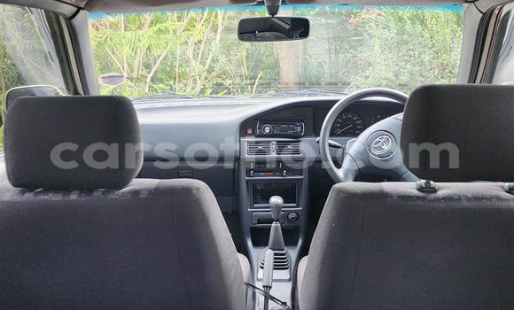 Buy Used Toyota Tacoma Brown Car in Maseru in Maseru Buy Used Toyota Tacoma Brown Car in Maseru in Maseru