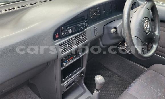 Buy Used Toyota Tacoma Brown Car in Maseru in Maseru Buy Used Toyota Tacoma Brown Car in Maseru in Maseru