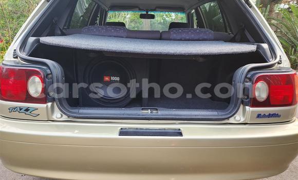 Buy Used Toyota Tacoma Brown Car in Maseru in Maseru Buy Used Toyota Tacoma Brown Car in Maseru in Maseru