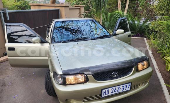 Buy Used Toyota Tacoma Brown Car in Maseru in Maseru Buy Used Toyota Tacoma Brown Car in Maseru in Maseru