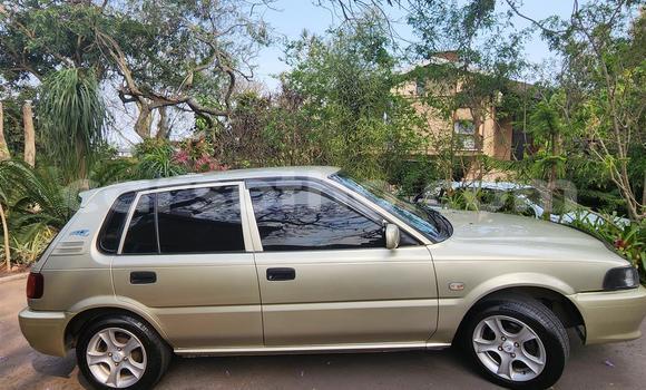 Buy Used Toyota Tacoma Brown Car in Maseru in Maseru Buy Used Toyota Tacoma Brown Car in Maseru in Maseru