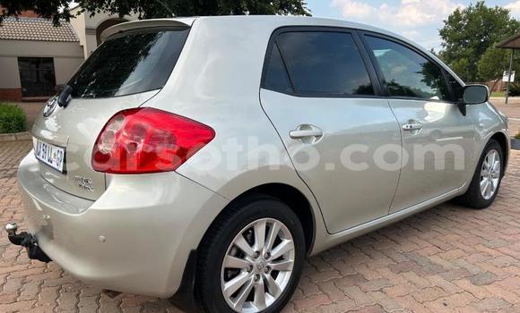 اشتري مستعمل Toyota Auris Brown سيارة في Maseru في Maseru اشتري مستعمل Toyota Auris Brown سيارة في Maseru في Maseru