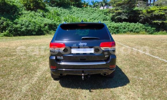 اشتري مستعمل Jeep Grand Cherokee Black سيارة في Maseru في Maseru اشتري مستعمل Jeep Grand Cherokee Black سيارة في Maseru في Maseru