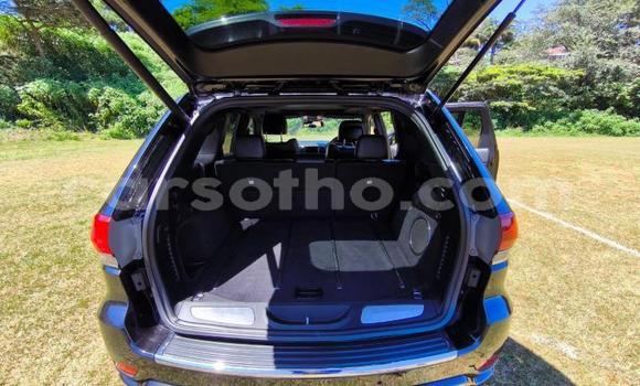 اشتري مستعمل Jeep Grand Cherokee Black سيارة في Maseru في Maseru اشتري مستعمل Jeep Grand Cherokee Black سيارة في Maseru في Maseru