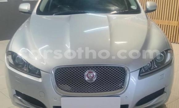 Acheter Occasion Voiture Jaguar XF Autre à Maseru, Maseru Acheter Occasion Voiture Jaguar XF Autre à Maseru, Maseru