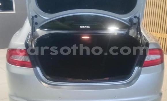 Acheter Occasion Voiture Jaguar XF Autre à Maseru, Maseru Acheter Occasion Voiture Jaguar XF Autre à Maseru, Maseru