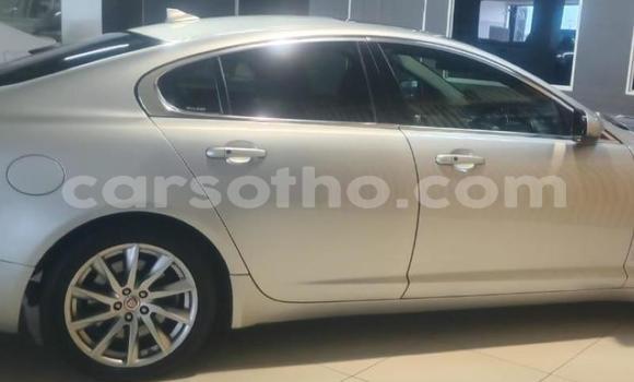Acheter Occasion Voiture Jaguar XF Autre à Maseru, Maseru Acheter Occasion Voiture Jaguar XF Autre à Maseru, Maseru