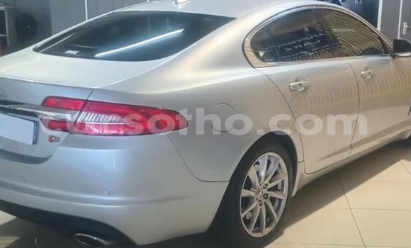 Acheter Occasion Voiture Jaguar XF Autre à Maseru, Maseru Acheter Occasion Voiture Jaguar XF Autre à Maseru, Maseru