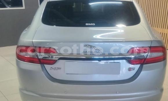 Acheter Occasion Voiture Jaguar XF Autre à Maseru, Maseru Acheter Occasion Voiture Jaguar XF Autre à Maseru, Maseru