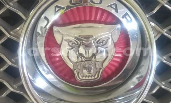 Acheter Occasion Voiture Jaguar XF Autre à Maseru, Maseru Acheter Occasion Voiture Jaguar XF Autre à Maseru, Maseru