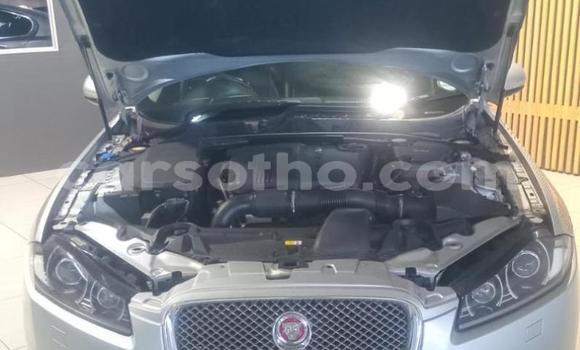 Acheter Occasion Voiture Jaguar XF Autre à Maseru, Maseru Acheter Occasion Voiture Jaguar XF Autre à Maseru, Maseru
