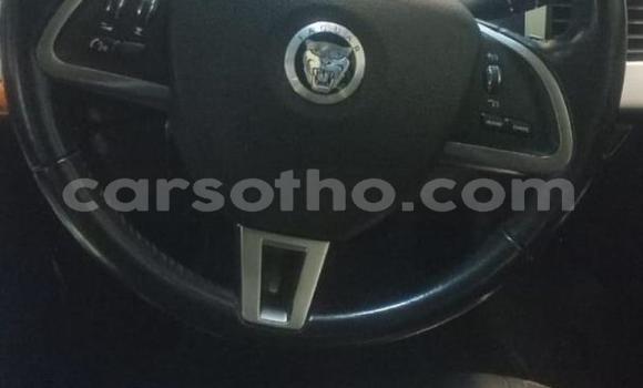 Acheter Occasion Voiture Jaguar XF Autre à Maseru, Maseru Acheter Occasion Voiture Jaguar XF Autre à Maseru, Maseru