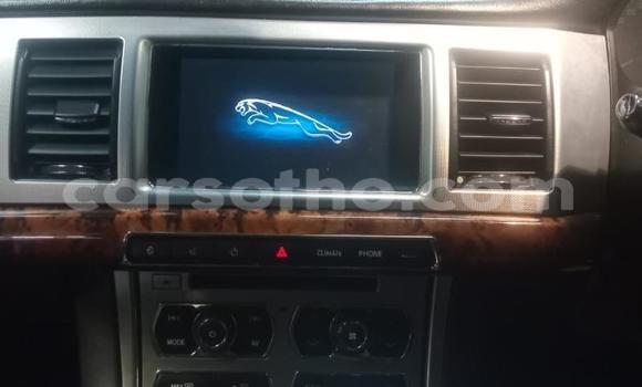 Acheter Occasion Voiture Jaguar XF Autre à Maseru, Maseru Acheter Occasion Voiture Jaguar XF Autre à Maseru, Maseru