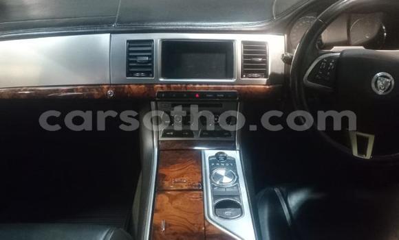 Acheter Occasion Voiture Jaguar XF Autre à Maseru, Maseru Acheter Occasion Voiture Jaguar XF Autre à Maseru, Maseru