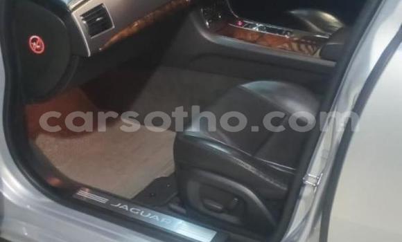 Acheter Occasion Voiture Jaguar XF Autre à Maseru, Maseru Acheter Occasion Voiture Jaguar XF Autre à Maseru, Maseru