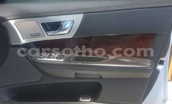 Acheter Occasion Voiture Jaguar XF Autre à Maseru, Maseru Acheter Occasion Voiture Jaguar XF Autre à Maseru, Maseru