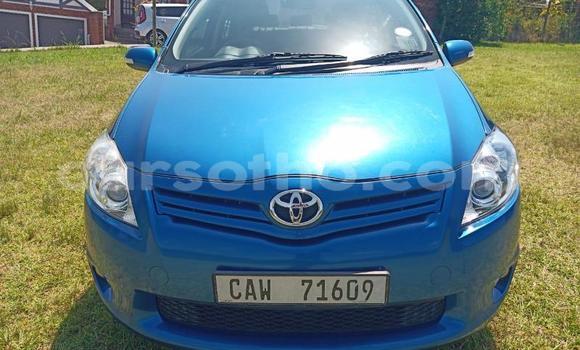 Sayi Na hannu Toyota Auris Blue Mota in Maseru a Maseru Sayi Na hannu Toyota Auris Blue Mota in Maseru a Maseru