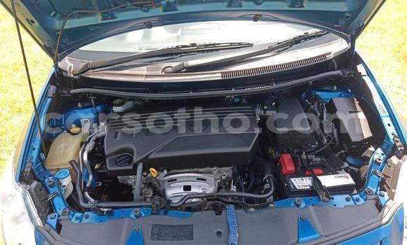 Sayi Na hannu Toyota Auris Blue Mota in Maseru a Maseru Sayi Na hannu Toyota Auris Blue Mota in Maseru a Maseru
