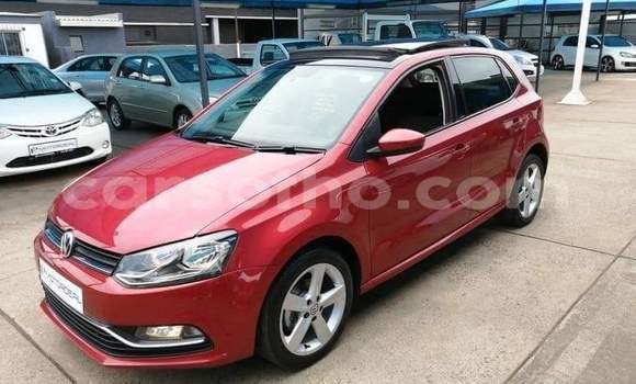 اشتري مستعمل Volkswagen Polo Red سيارة في Maseru في Maseru