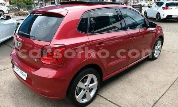 اشتري مستعمل Volkswagen Polo Red سيارة في Maseru في Maseru اشتري مستعمل Volkswagen Polo Red سيارة في Maseru في Maseru