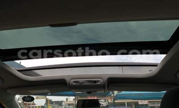 اشتري مستعمل Volkswagen Polo Red سيارة في Maseru في Maseru اشتري مستعمل Volkswagen Polo Red سيارة في Maseru في Maseru