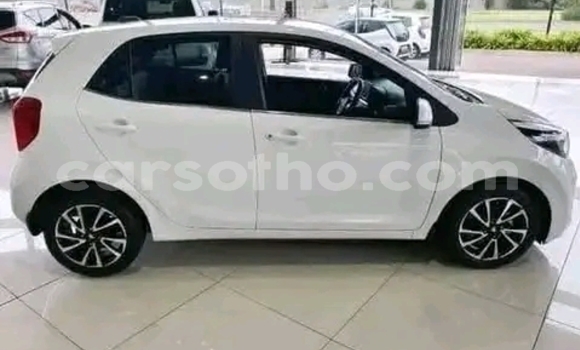 Sayi Na hannu Kia Picanto White Mota in Maseru a Maseru Sayi Na hannu Kia Picanto White Mota in Maseru a Maseru