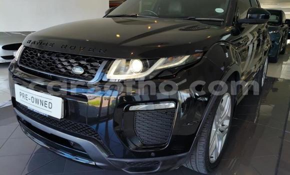 Acheter Occasion Voiture Range Rover Evoque Noir à Maseru, Maseru