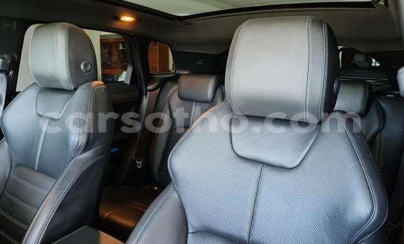 Acheter Occasion Voiture Range Rover Evoque Noir à Maseru, Maseru Acheter Occasion Voiture Range Rover Evoque Noir à Maseru, Maseru