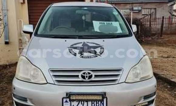 Sayi Na hannu Toyota Ipsum Other Mota in Teyateyaneng a Berea Sayi Na hannu Toyota Ipsum Other Mota in Teyateyaneng a Berea