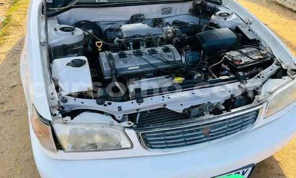 اشتري مستعمل Toyota Corolla Other سيارة في Maseru في Maseru اشتري مستعمل Toyota Corolla Other سيارة في Maseru في Maseru