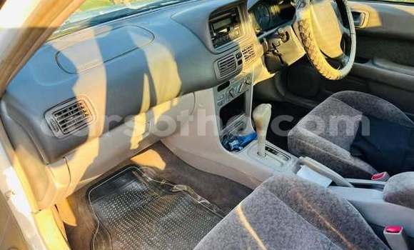 اشتري مستعمل Toyota Corolla Other سيارة في Maseru في Maseru اشتري مستعمل Toyota Corolla Other سيارة في Maseru في Maseru