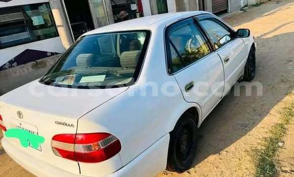 اشتري مستعمل Toyota Corolla Other سيارة في Maseru في Maseru اشتري مستعمل Toyota Corolla Other سيارة في Maseru في Maseru