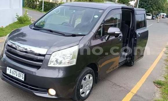 Buy Used Toyota Alphard Other Car in Maseru in Maseru