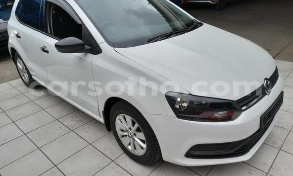 اشتري مستعمل Volkswagen Polo White سيارة في Maseru في Maseru