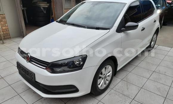 Acheter Occasion Voiture Volkswagen Polo Blanc à Maseru, Maseru Acheter Occasion Voiture Volkswagen Polo Blanc à Maseru, Maseru