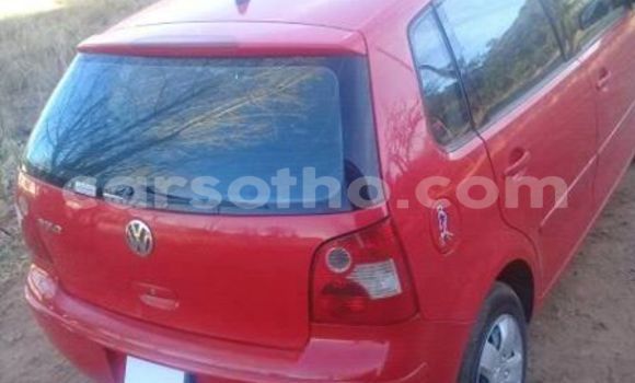 Buy Used Volkswagen Polo Red Car in Maseru in Maseru Buy Used Volkswagen Polo Red Car in Maseru in Maseru